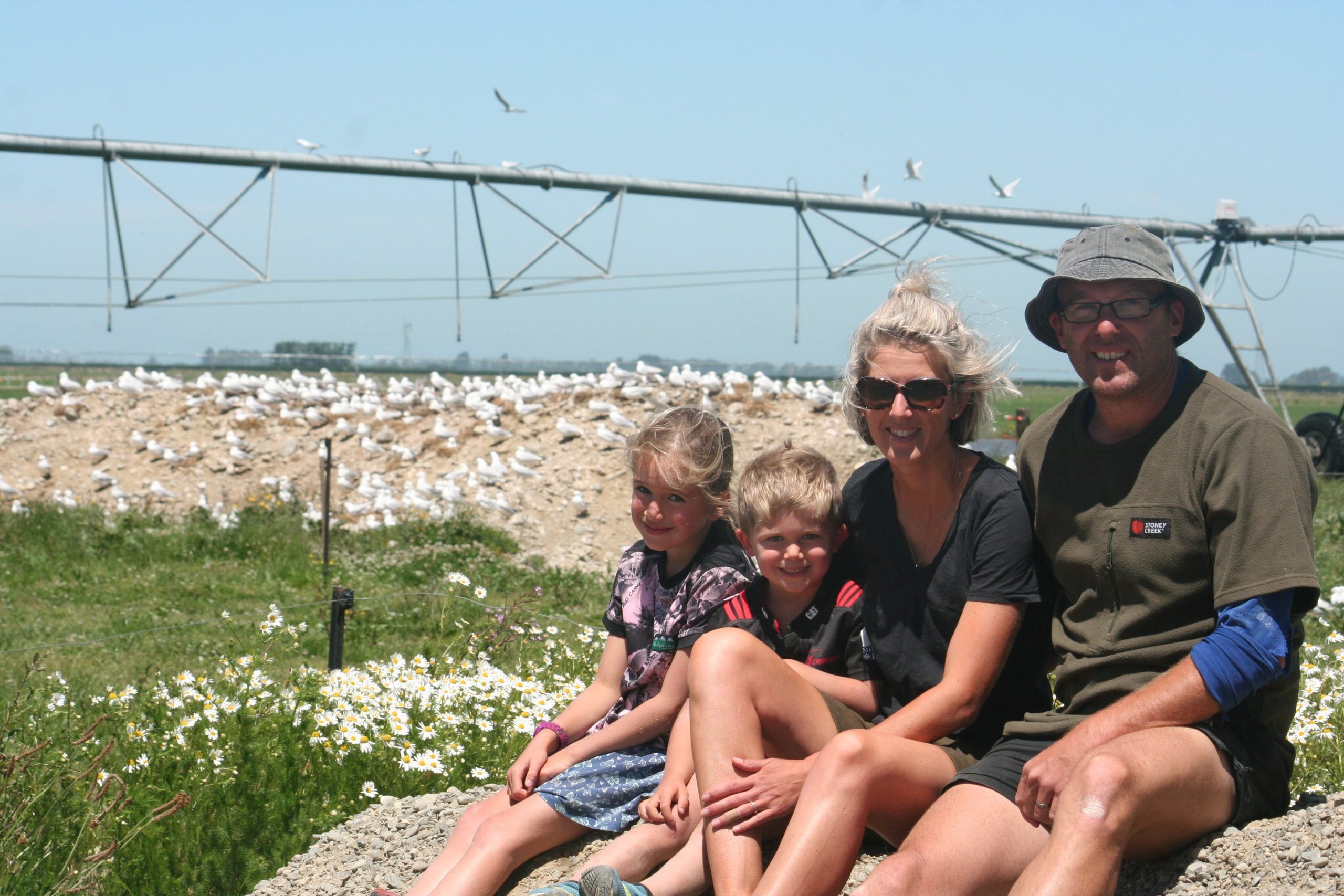 Dairy farmers Ali Van Polanen and Andrew Black with their children Florence and Hudson are happy to have rare black-billed gulls on the farm. Photo: Otago Daily Times / Toni Williams.