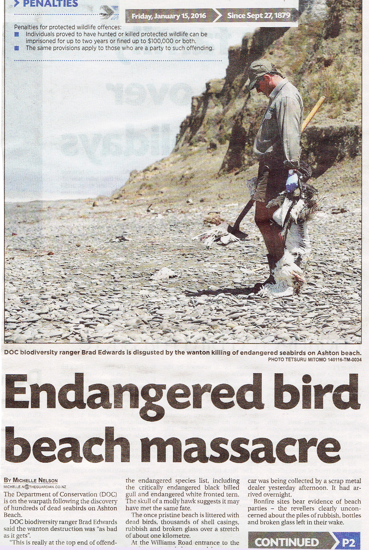 Hundreds of birds massacred on Ashton Beach