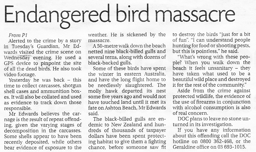 Hundreds of birds massacred on Ashton Beach