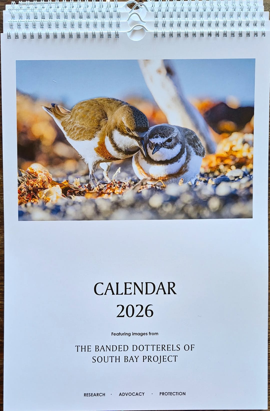BANDED DOTTERELS Calendar