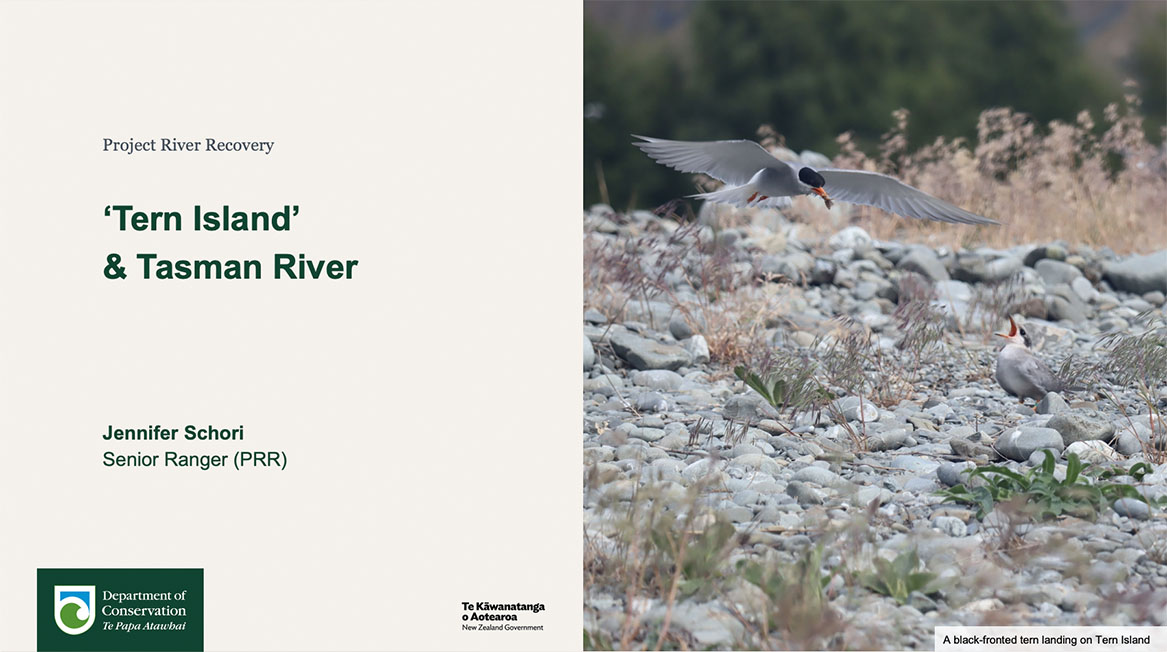 Click to download PDF