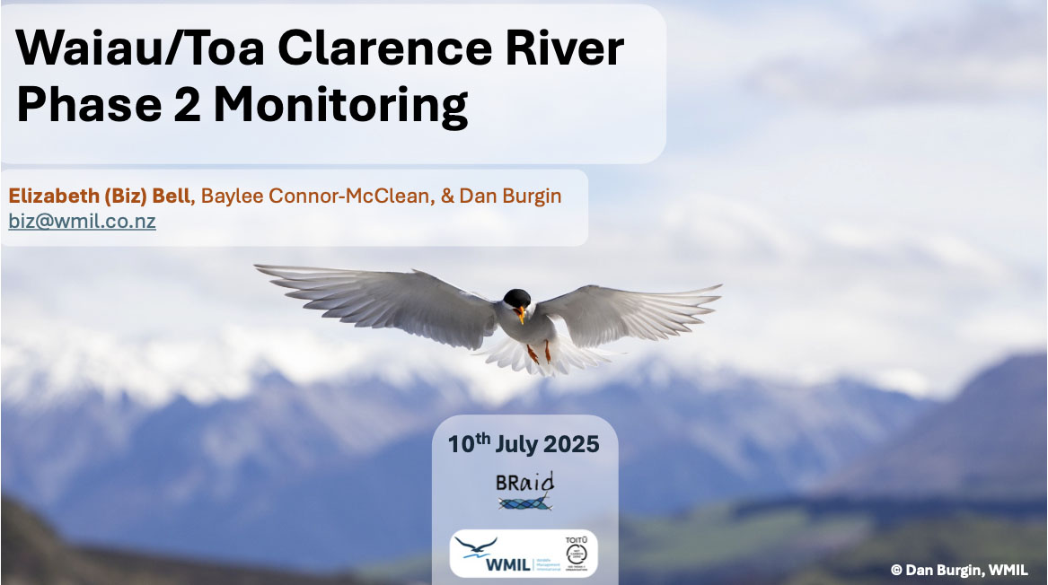 Click to download PDF