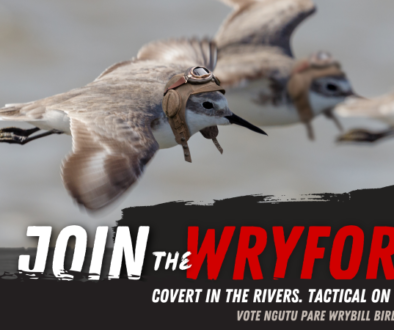 Join the Wryforce campaign for Bird of the Year 2026