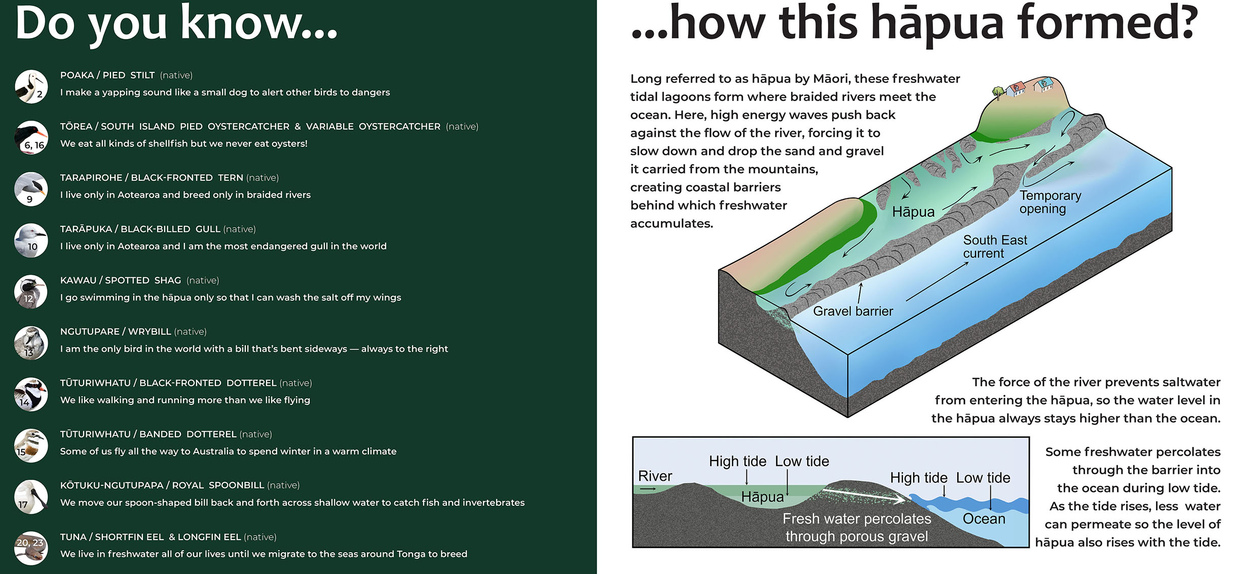 Dotterel point Hakatere hapua sign