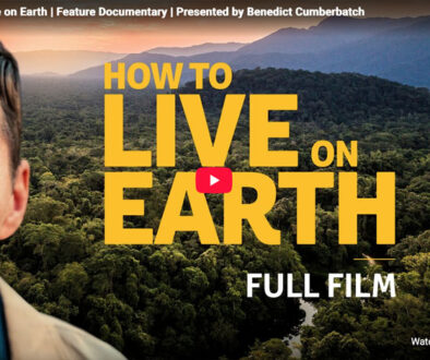 How to live on Earth
