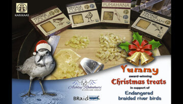 Christmas cheeses from Karikaas