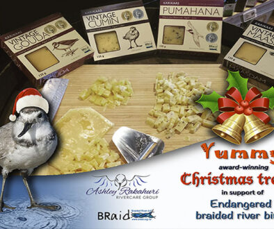 Christmas cheeses from Karikaas