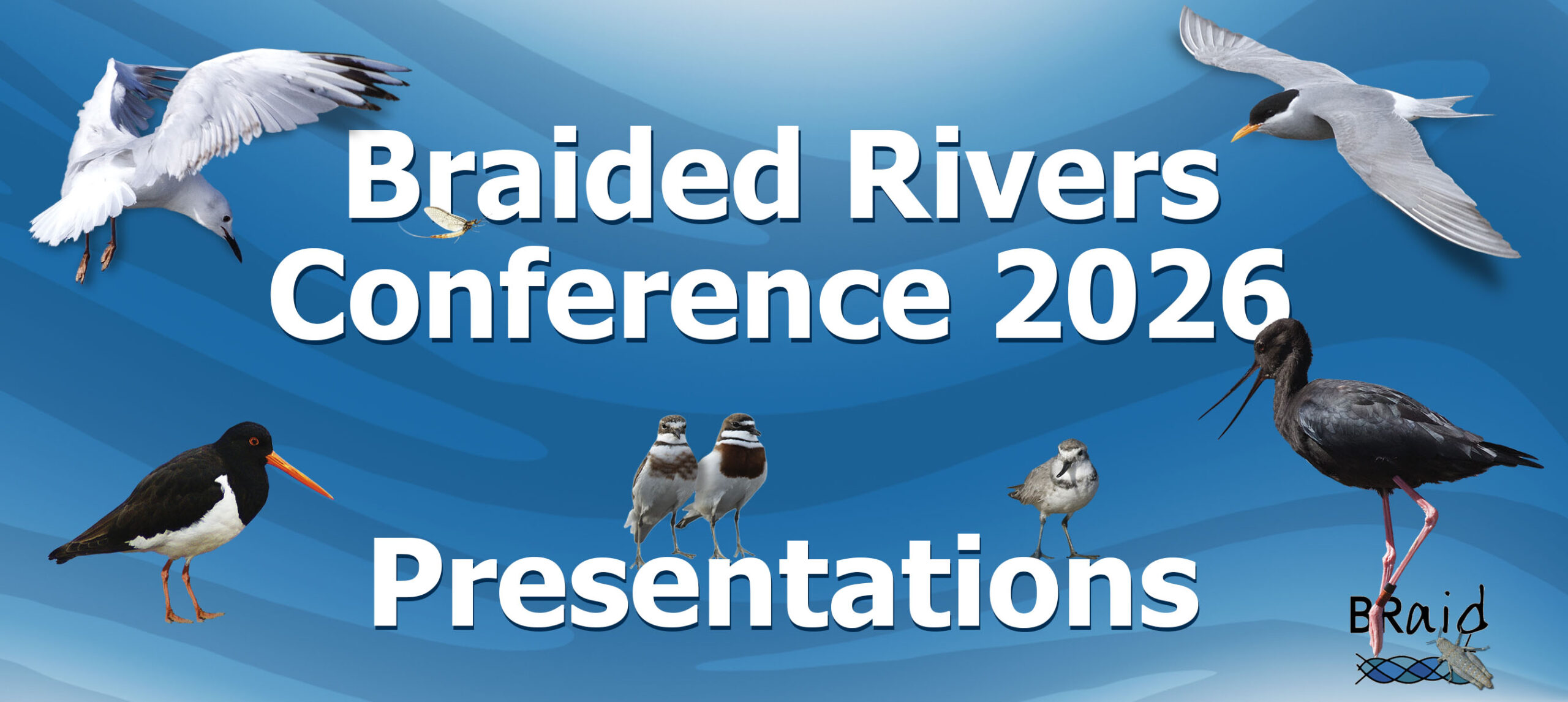 Braided rivers 2026 conference presentations
