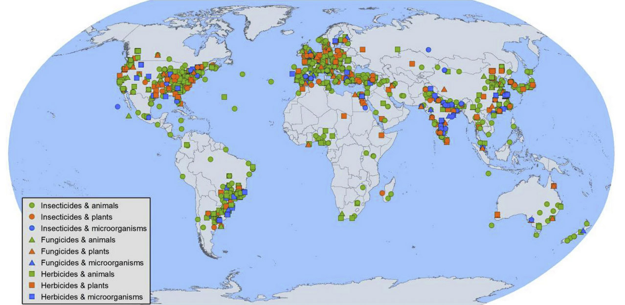 Study locations across the globe are shown (world map in World Robinson projection). A literature search identified study locations for insecticide impact on animals (820 locations), plants (112 locations) and microorganisms (56 locations), for fungicide impact on animals (148 locations), plants (74 locations) and microorganisms (52 locations), and for herbicide impact on animals (286 locations), plants (161 locations) and microorganisms (69 locations), respectively, from a total of 1705 published articles from 1497 locations. Nineteen articles included more than one study location (range 2–5). Grey and non-English literature were not included in this meta-analysis. Map © ARCGIS Software. Source data are provided as a Source Data file.